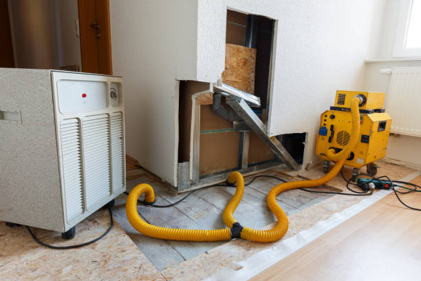 Best Mold Prevention Services  in Mountain Village, CO