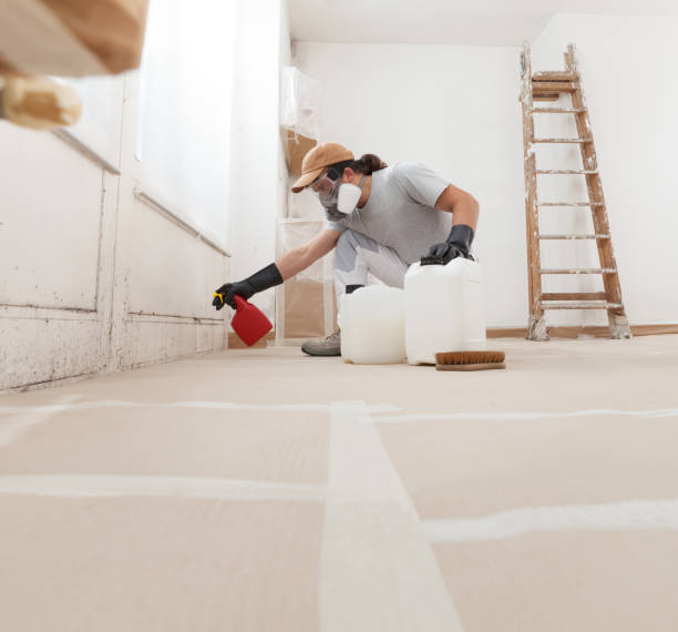 Best HVAC Mold Inspection and Cleaning  in Mountain Village, CO